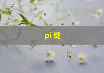 pi 键